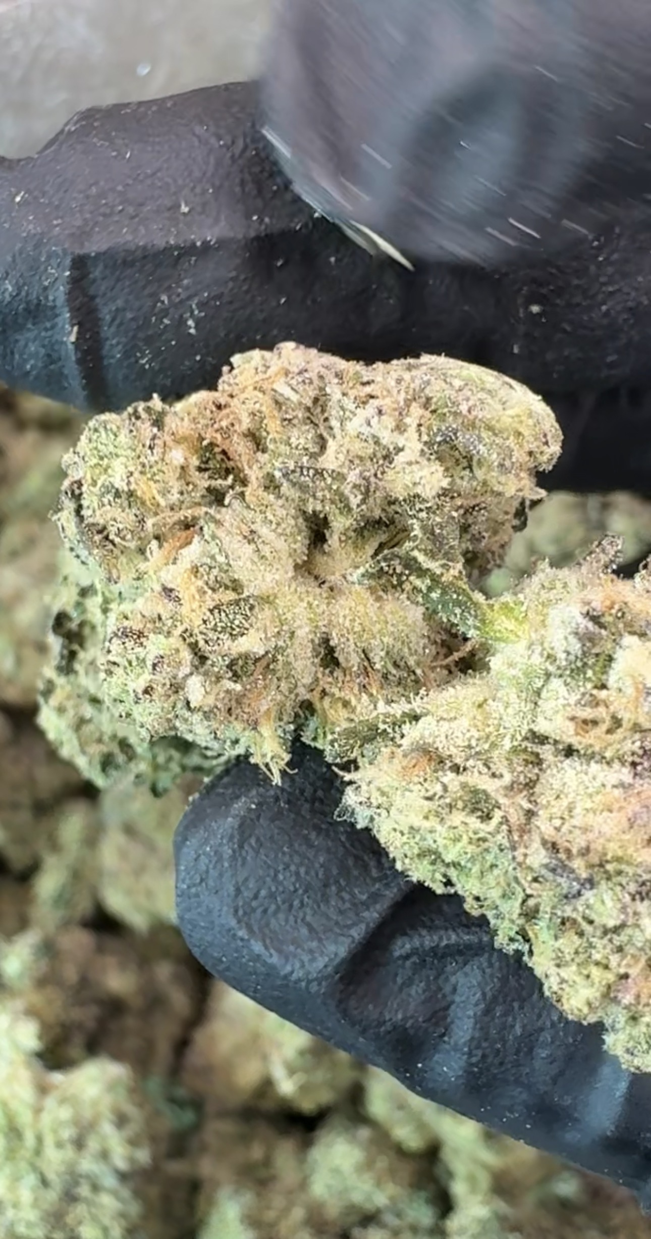 hashburger