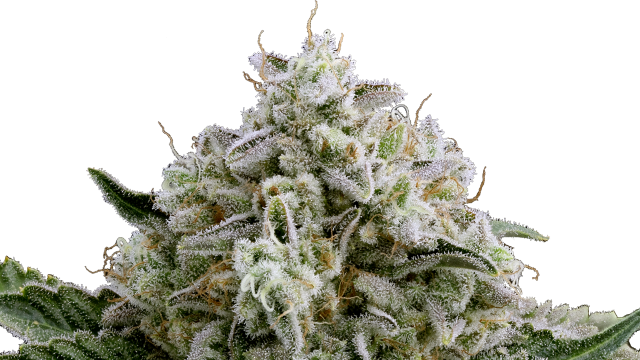 710 Labs - Moonbow 112