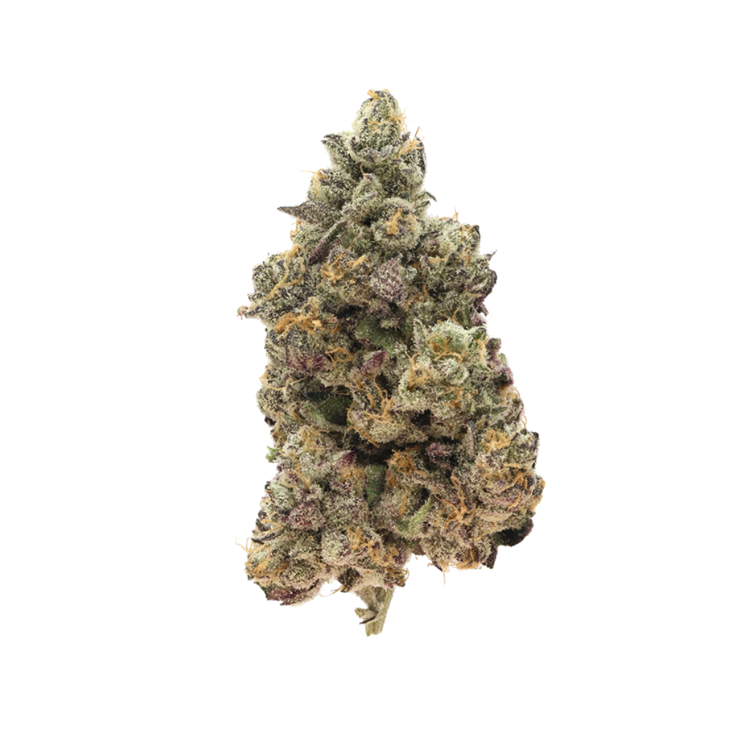 710 Labs - Rick Jamez