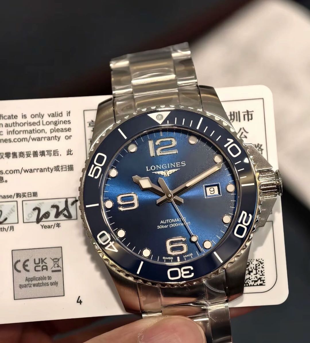 Stainless Steel Men's Dive Watch