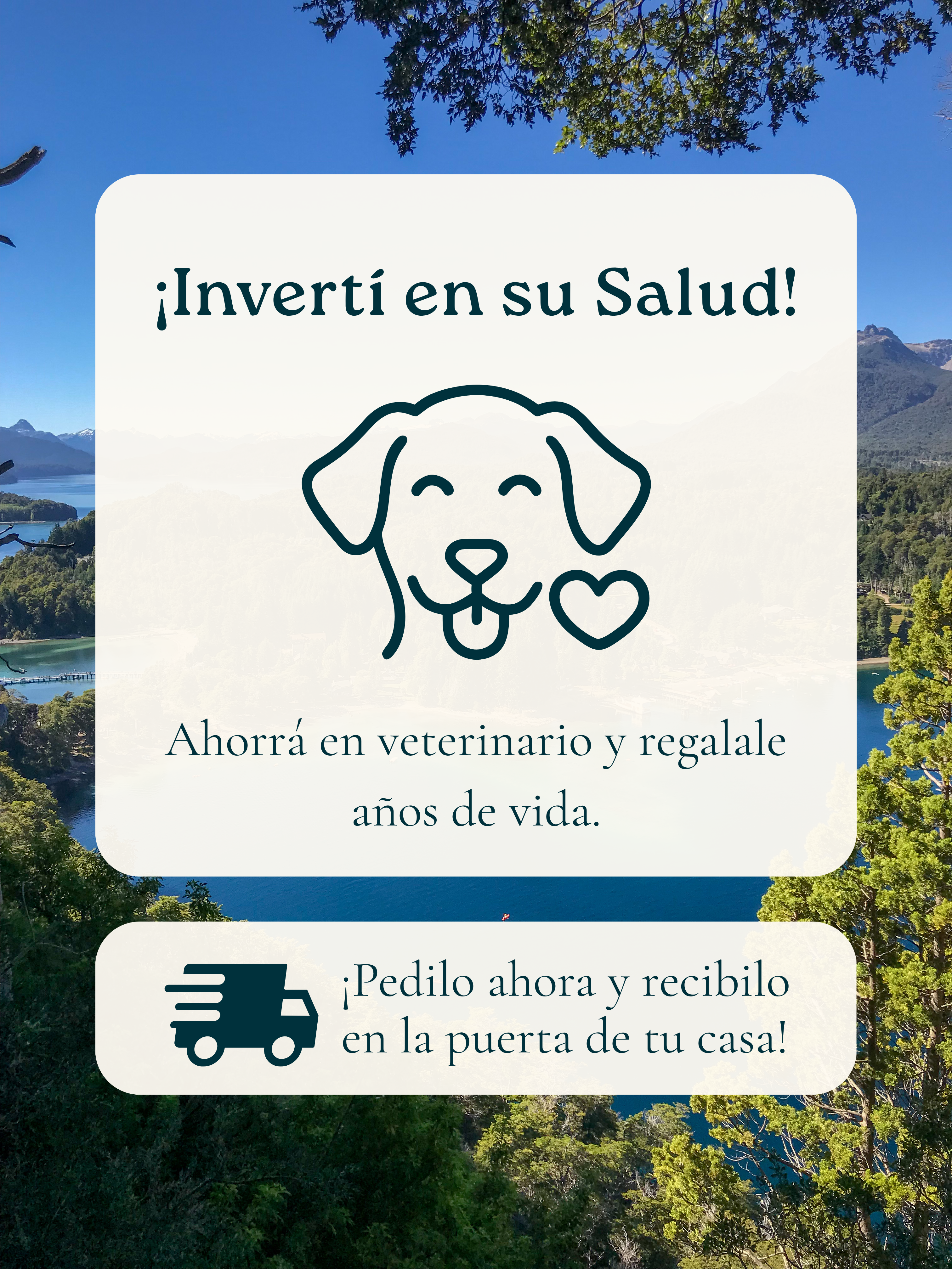 3kg para Perro | Mantenimiento