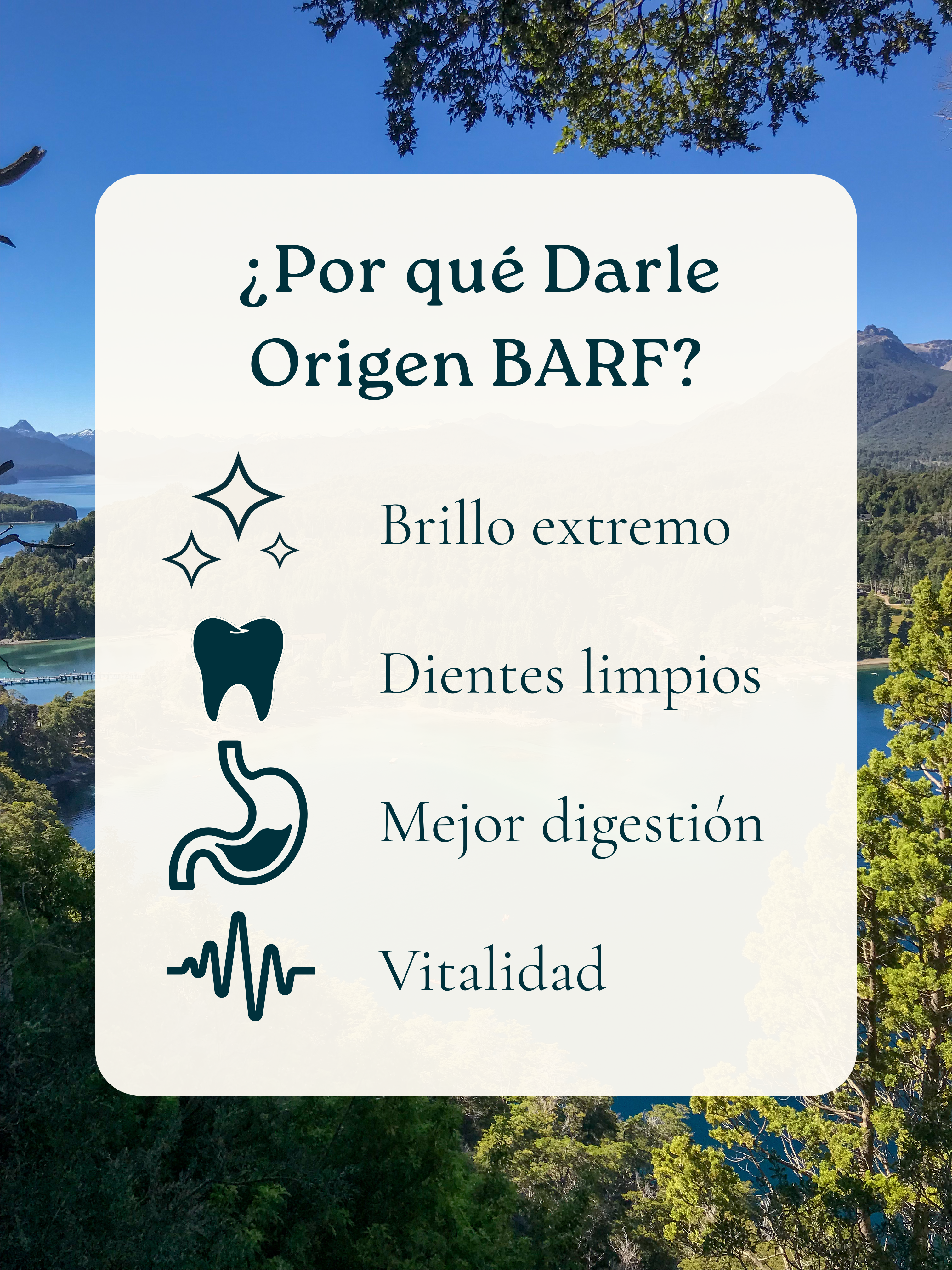 6kg para Perro | Mantenimiento