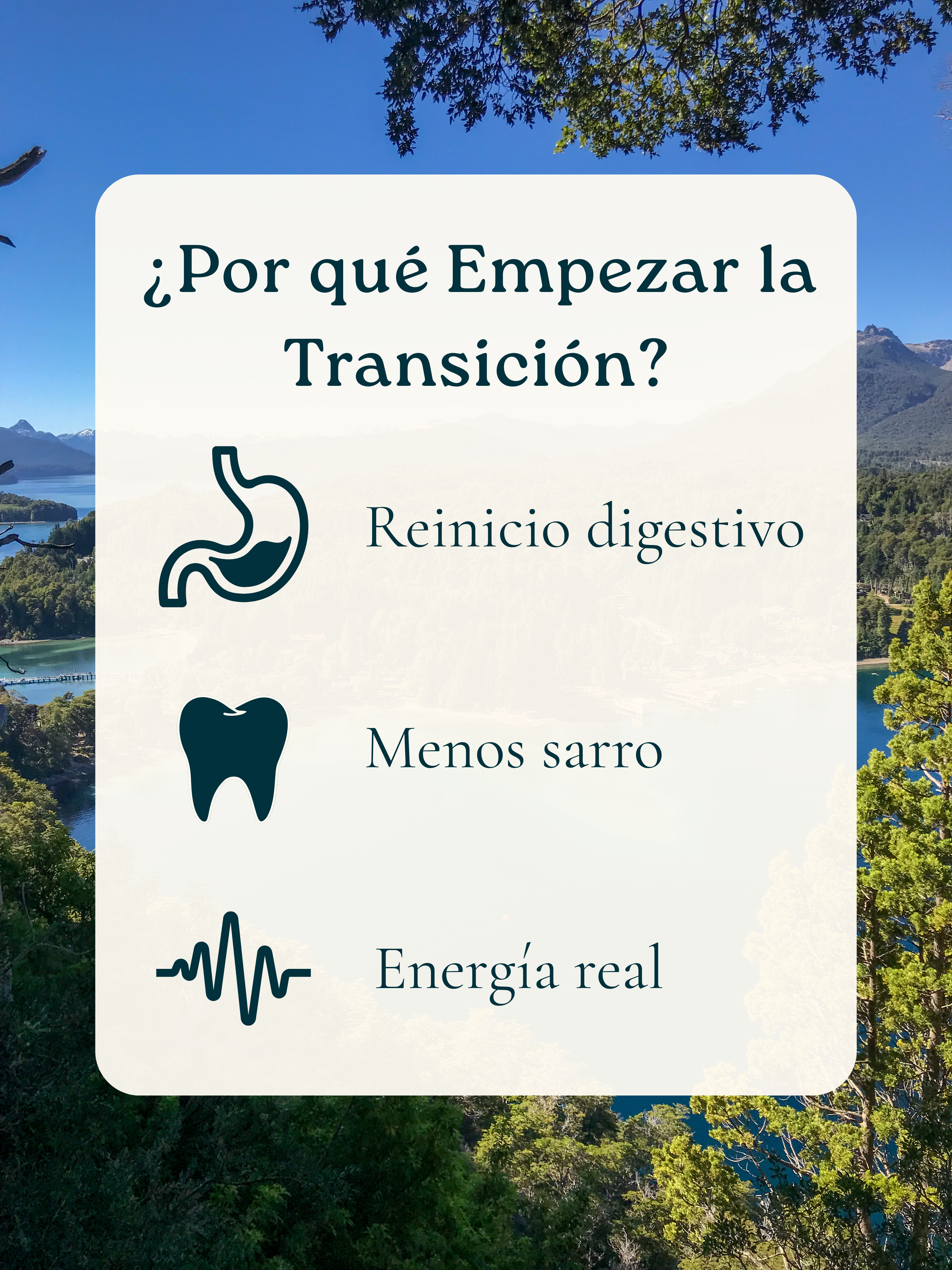 6kg para Perro | Transición