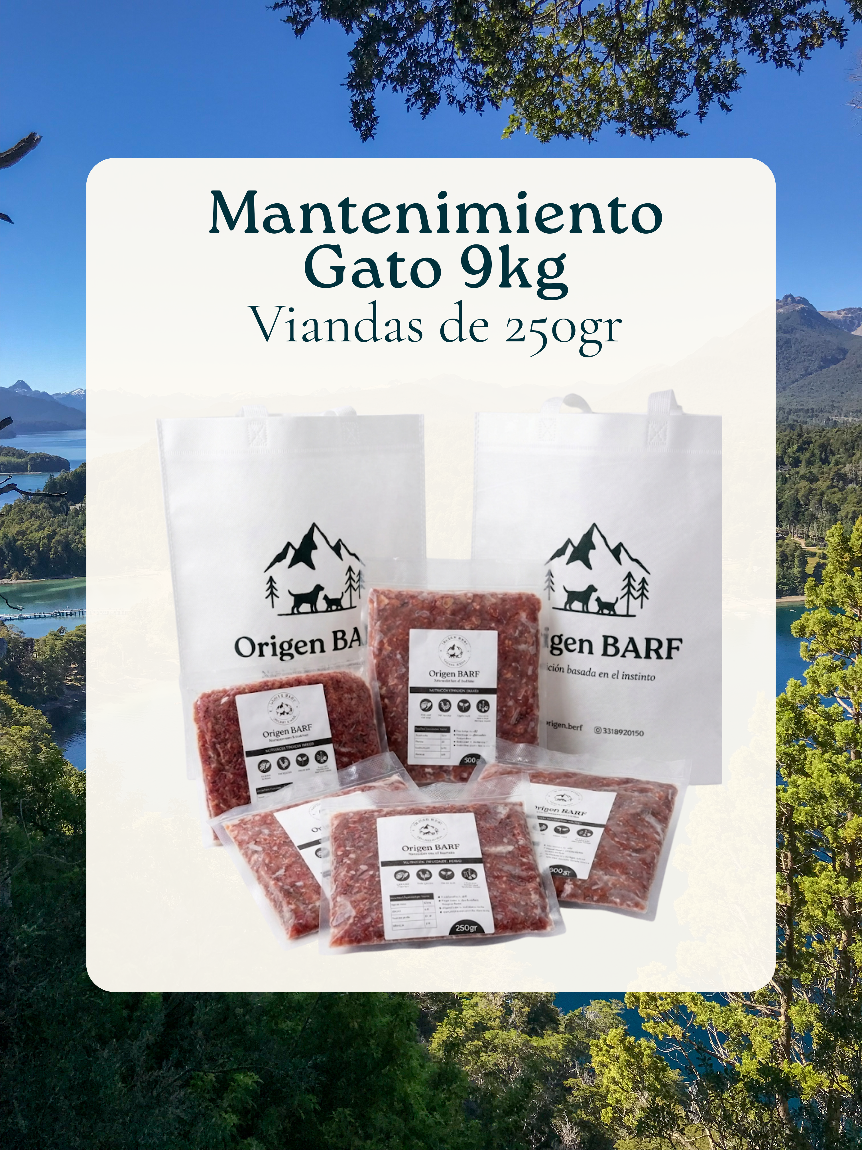 9kg para Gato | Mantenimiento