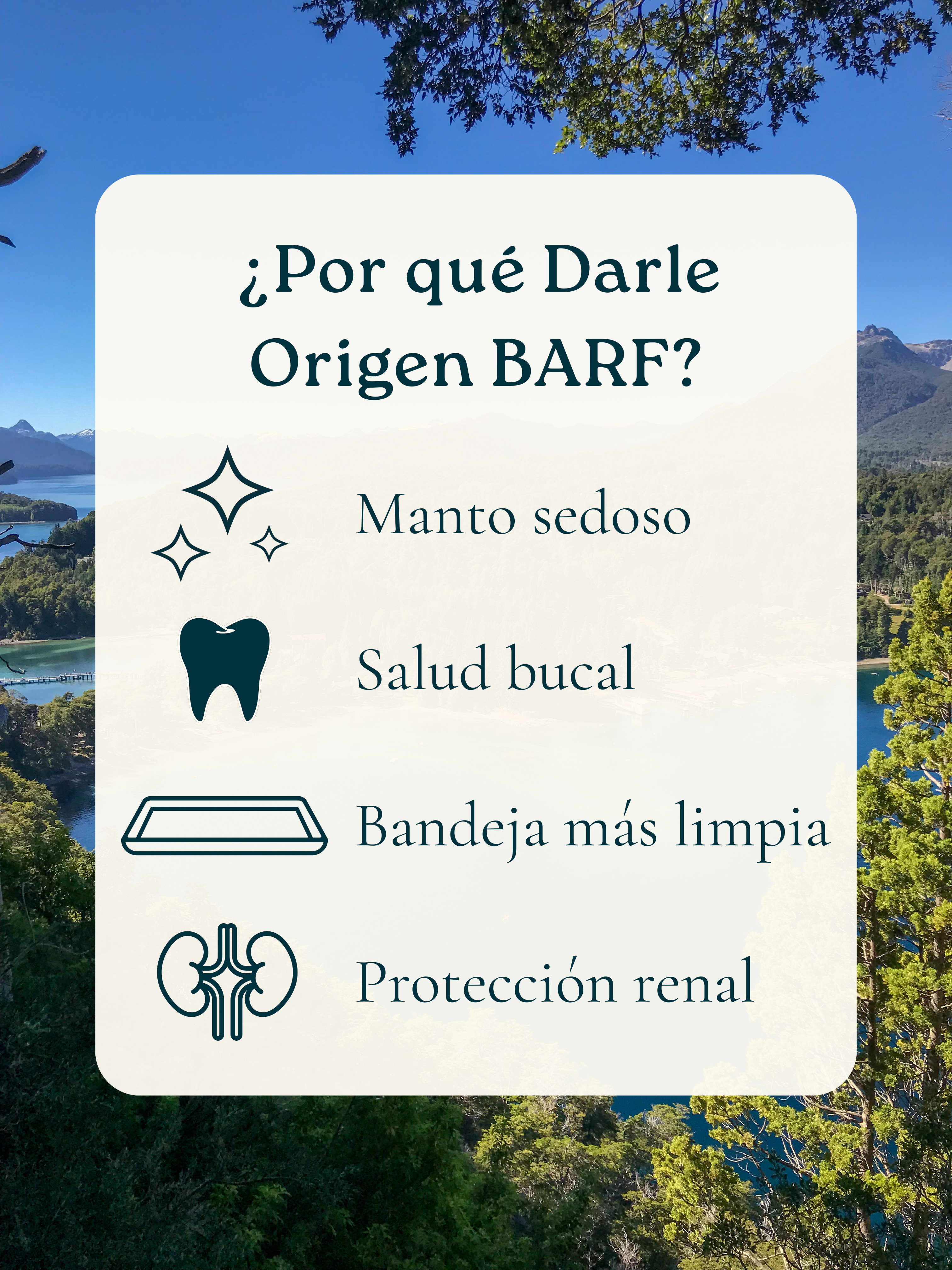  3kg para Gato | Mantenimiento