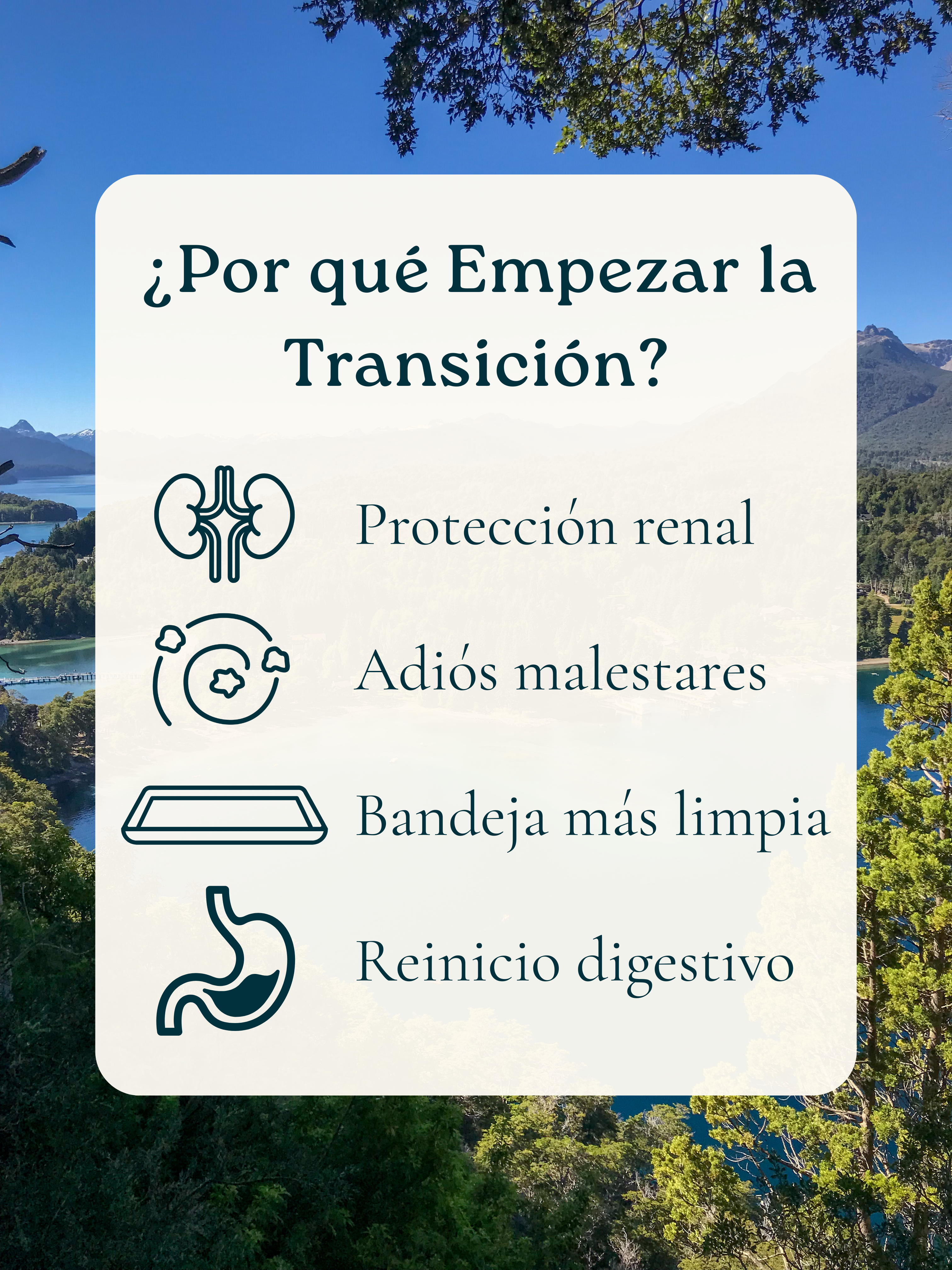 6kg para Gato | Transición