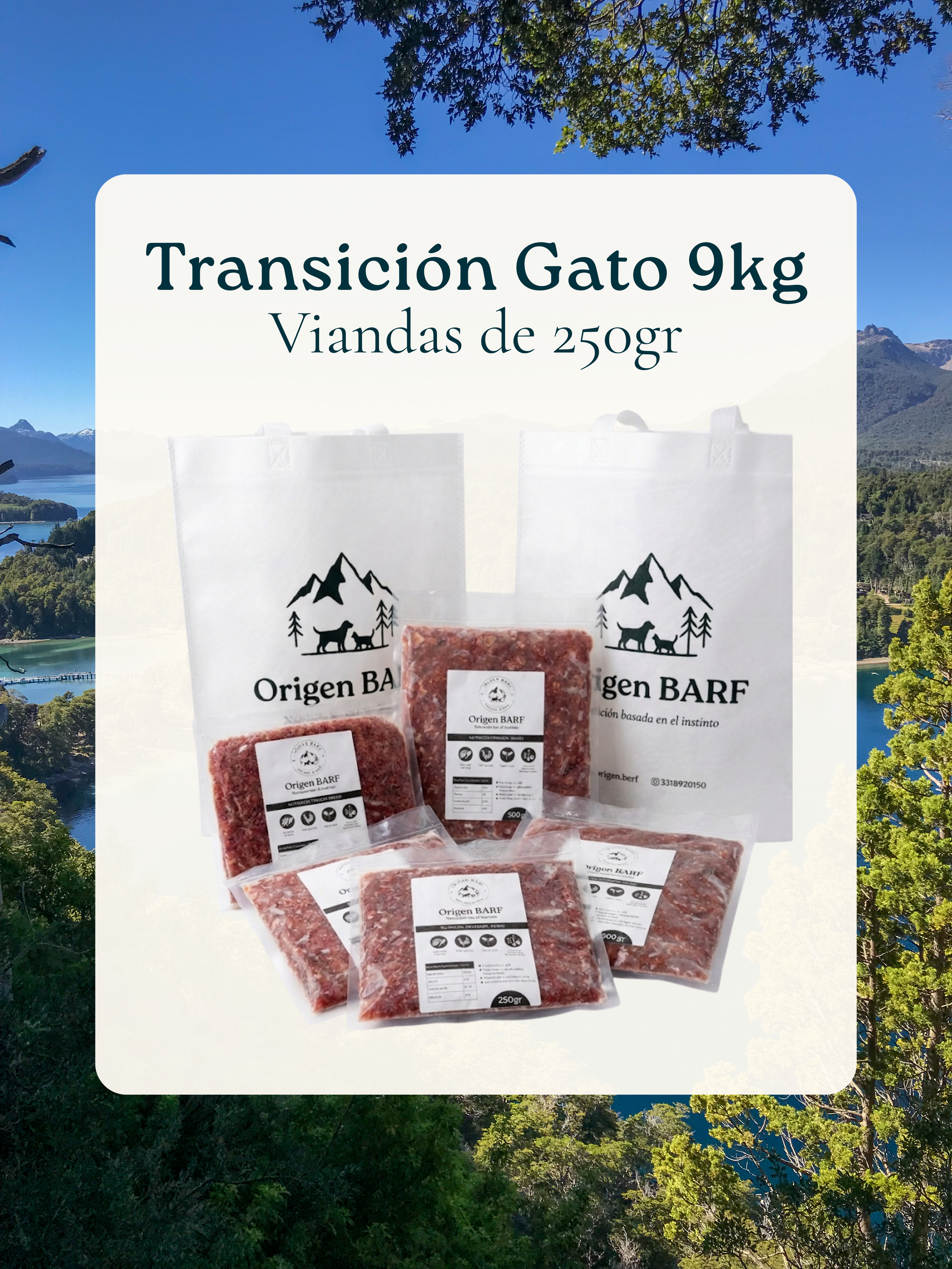 9kg para Gato | Transición