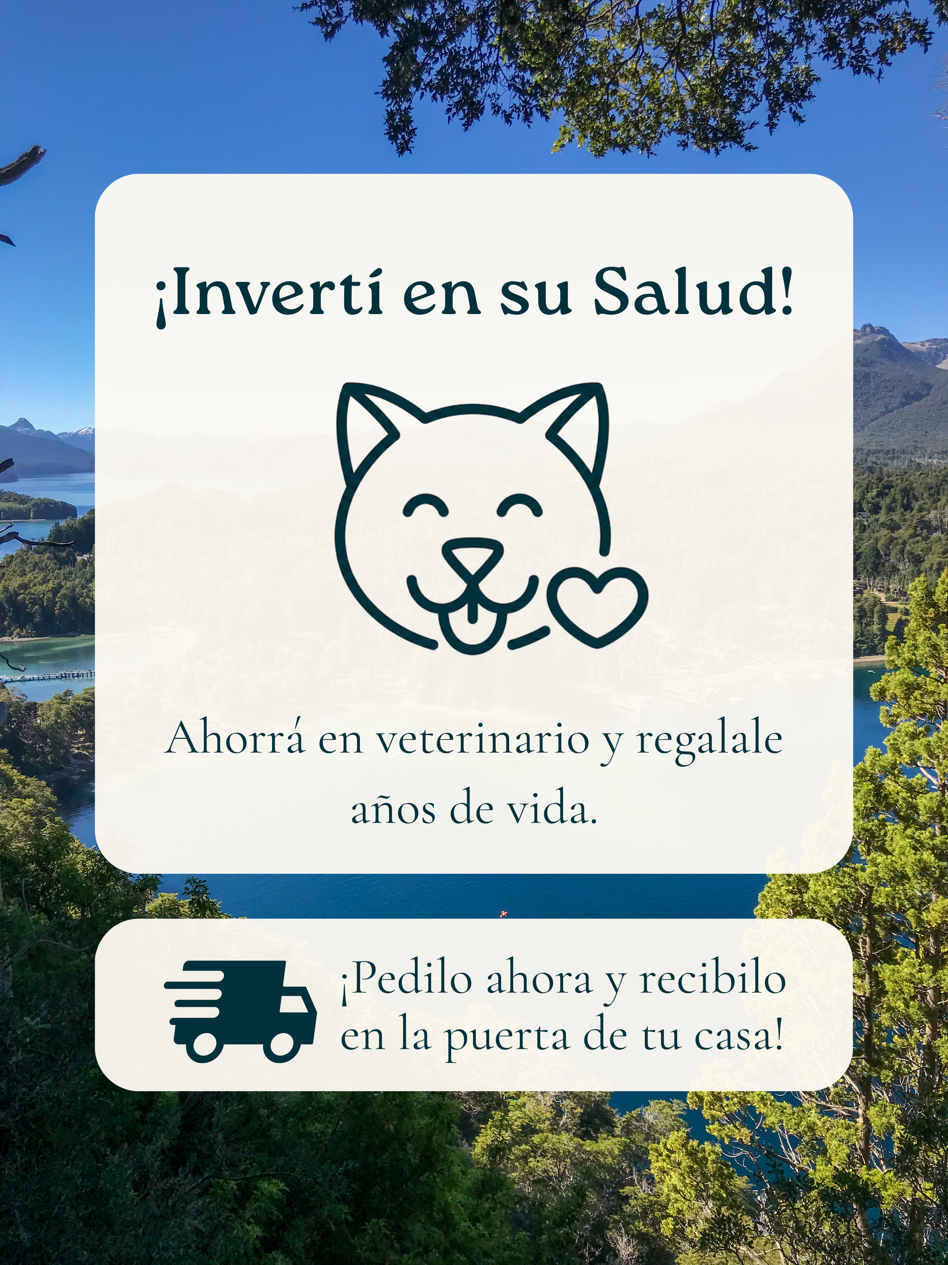 6kg para Gato | Transición