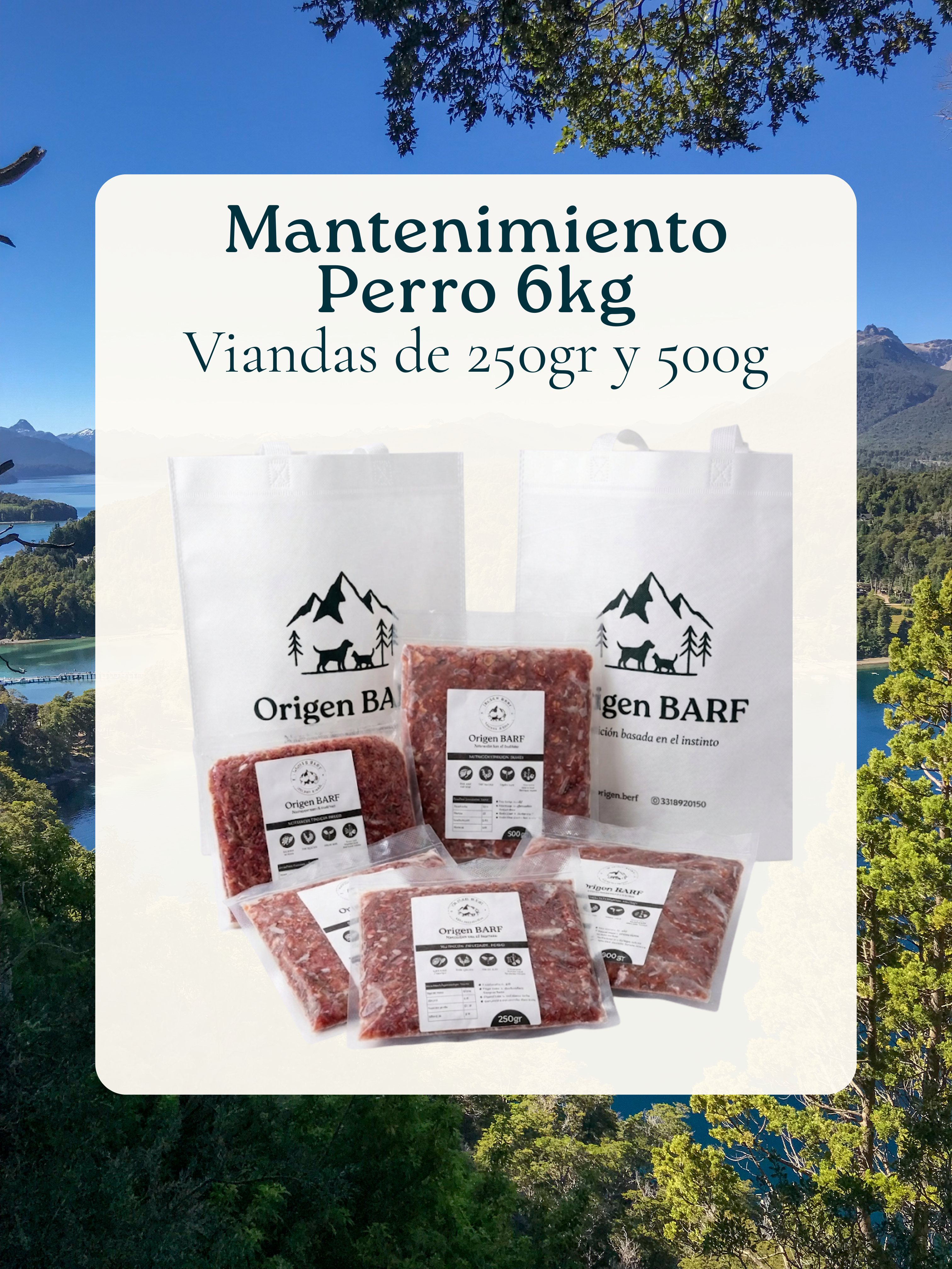 6kg para Perro | Mantenimiento