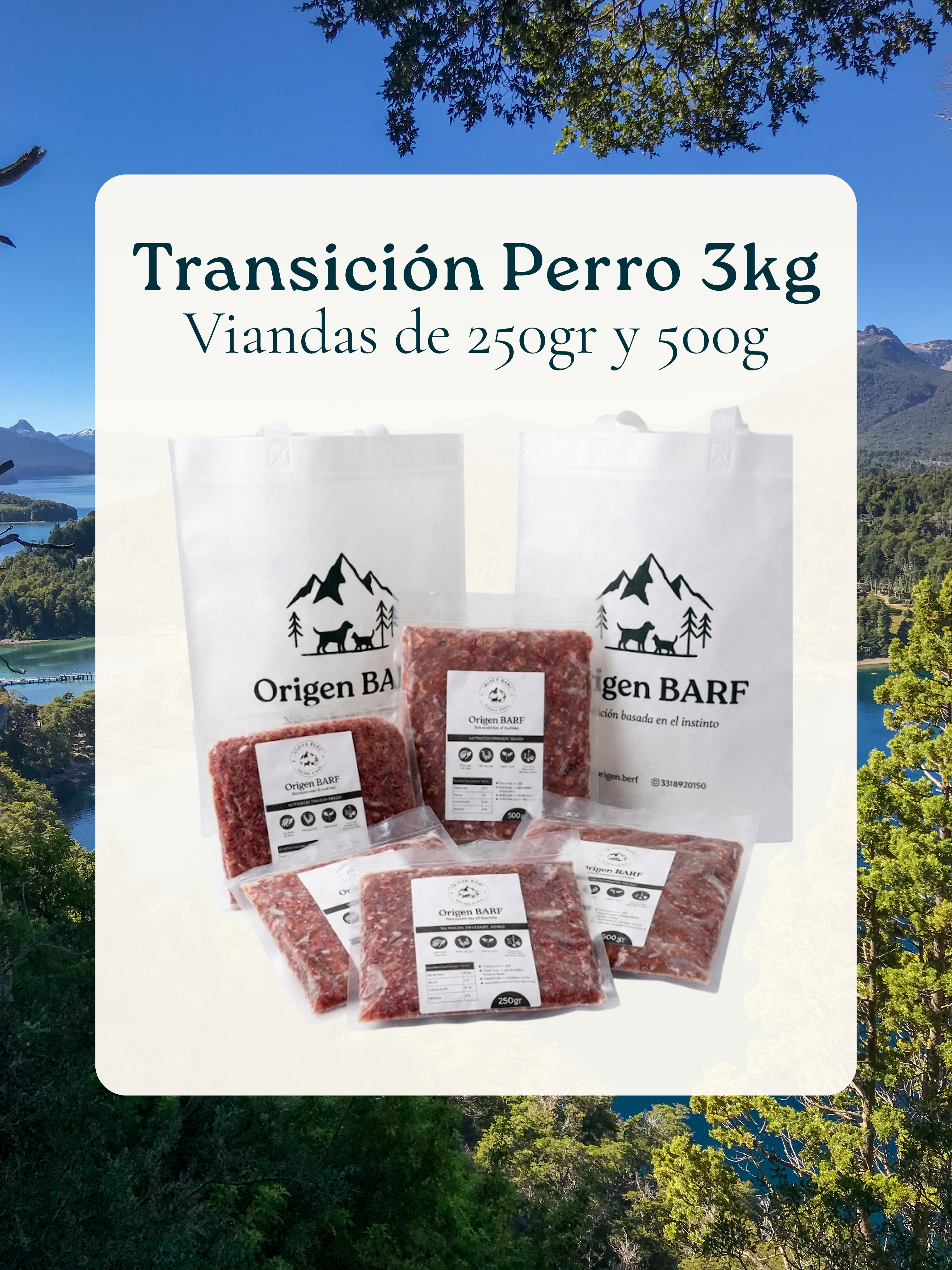 3kg para Perro | Transición
