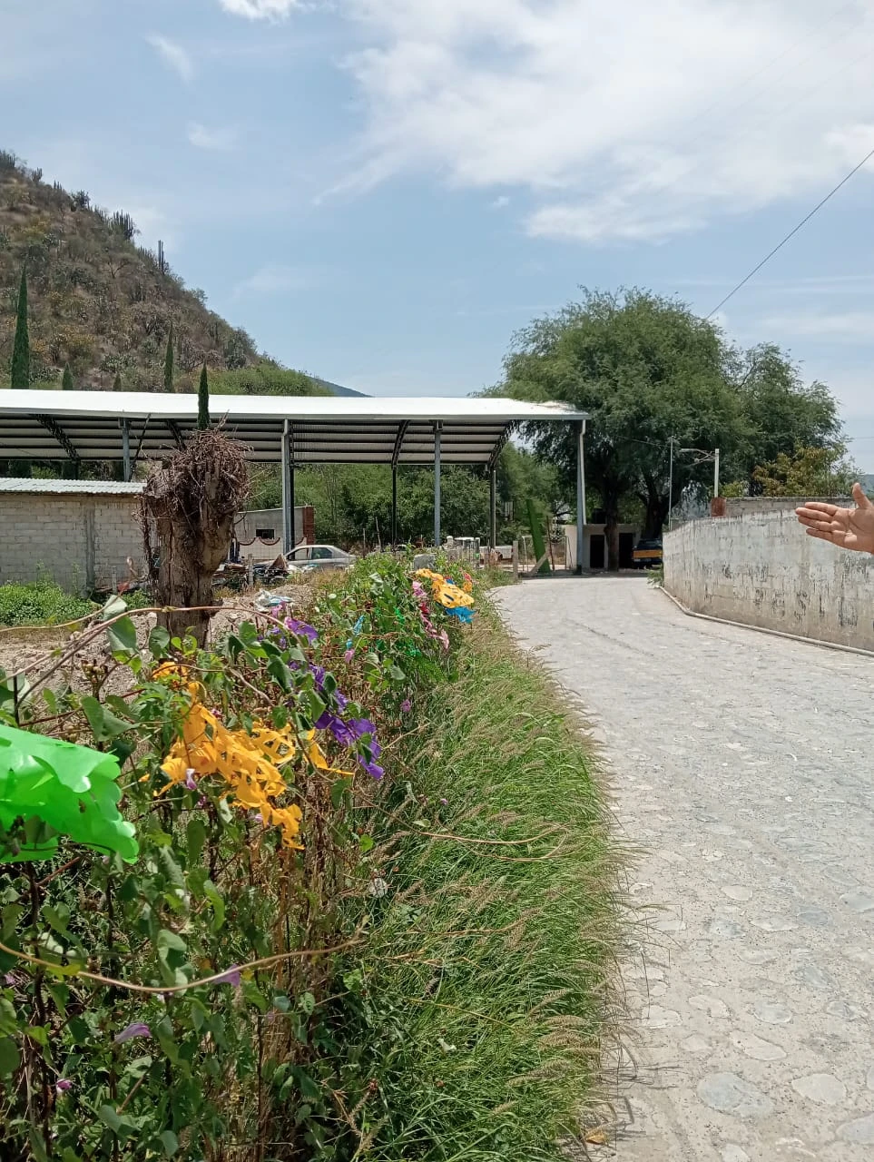 Terreno de Inversión – Jilotla, Meztitlán
