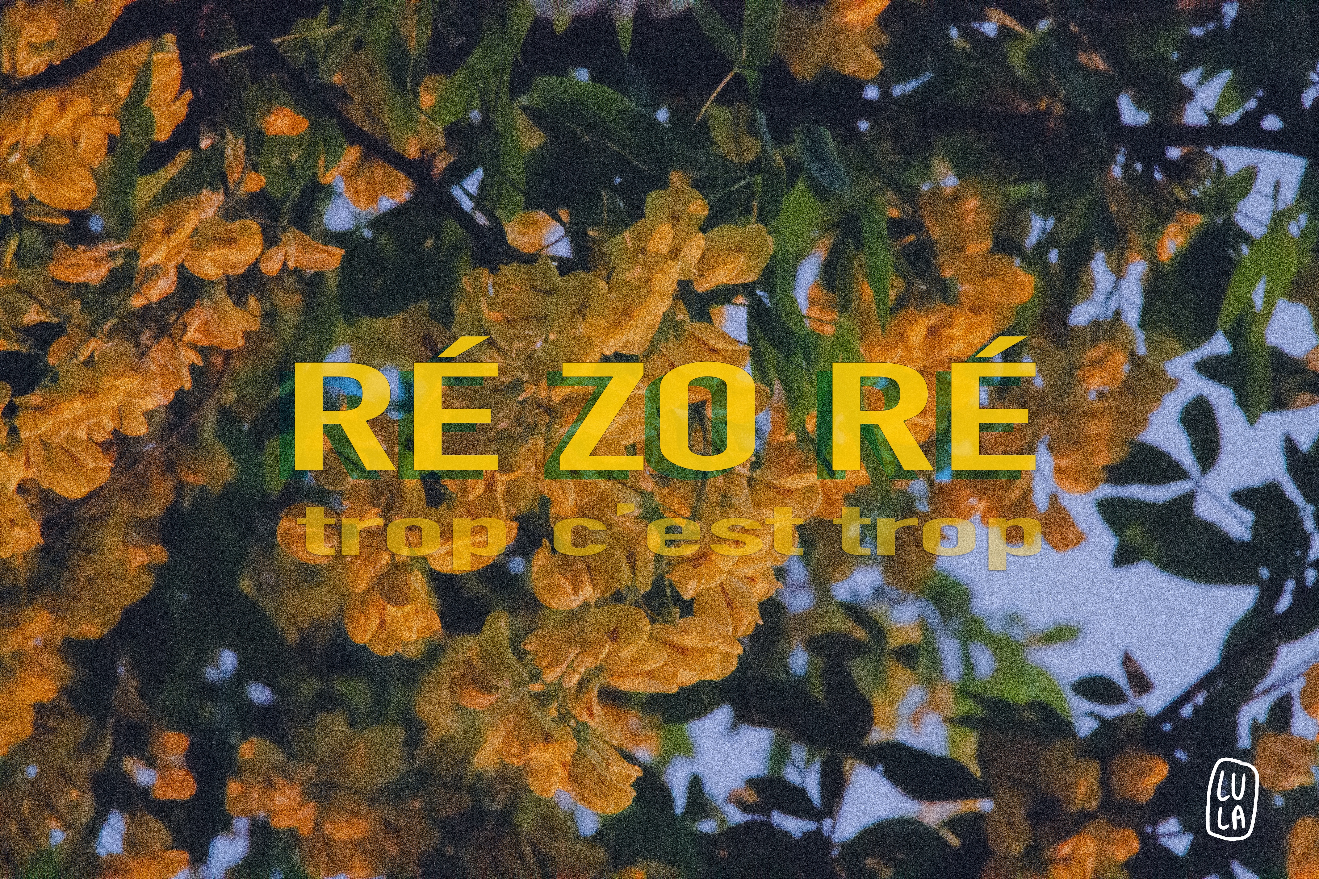 Affiche COLLECTION LULA - RE ZO RE QUE C’EST