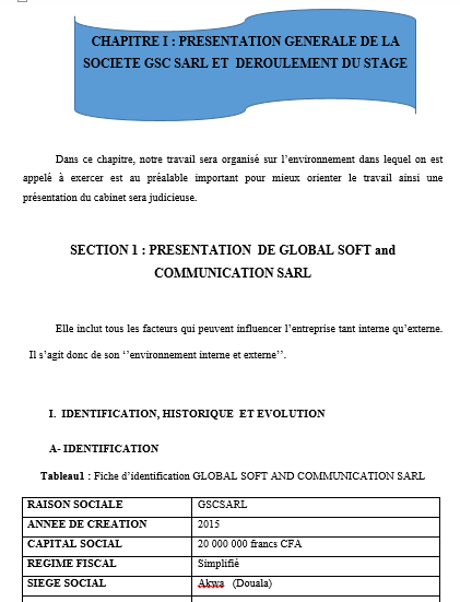 GESTION DE STOCK DANS UNE ENTREPRISE COMMERCIALE : CAS DE GLOBAL SOLFT & COMMUNICATION