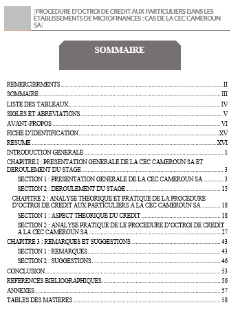 [PROCEDURE D’OCTROI DE CREDIT AUX PARTICULIERS DANS LES ETABLISSEMENTS DE MICROFINANCES : CAS DE LA CEC CAMEROUN SA]