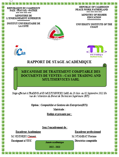 MECANISME DE TRAITEMENT COMPTABLE DES DOCUMENTS DE VENTES : CAS DE TRADING AND MULTISERVICES SARL