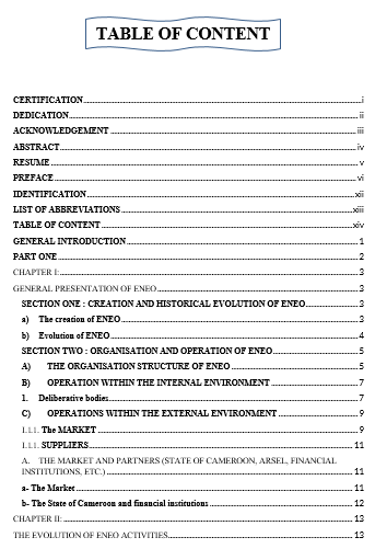 MATERIAL STOCK MANAGEMENT BY MIXED COMPANY CASE OF ENEO CAMROON S.A 