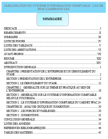 AMELIORATION DU SYSTÈME D’INFORMATION COMPTABLE : CAS DE PFAC CAMEROUN SAS