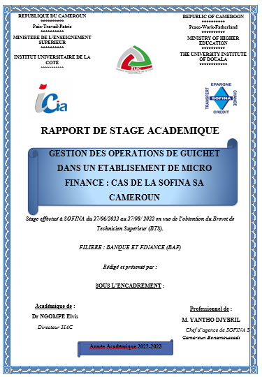 GESTION DES OPERATIONS DE GUICHET DANS UN ETABLISEMENT DE MICRO FINANCE : CAS DE LA SOFINA SA CAMEROUN