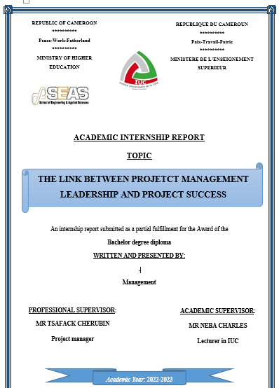 THE LINK BETWEEN PROJETCT MANAGEMENT LEADERSHIP AND PROJECT SUCCESS