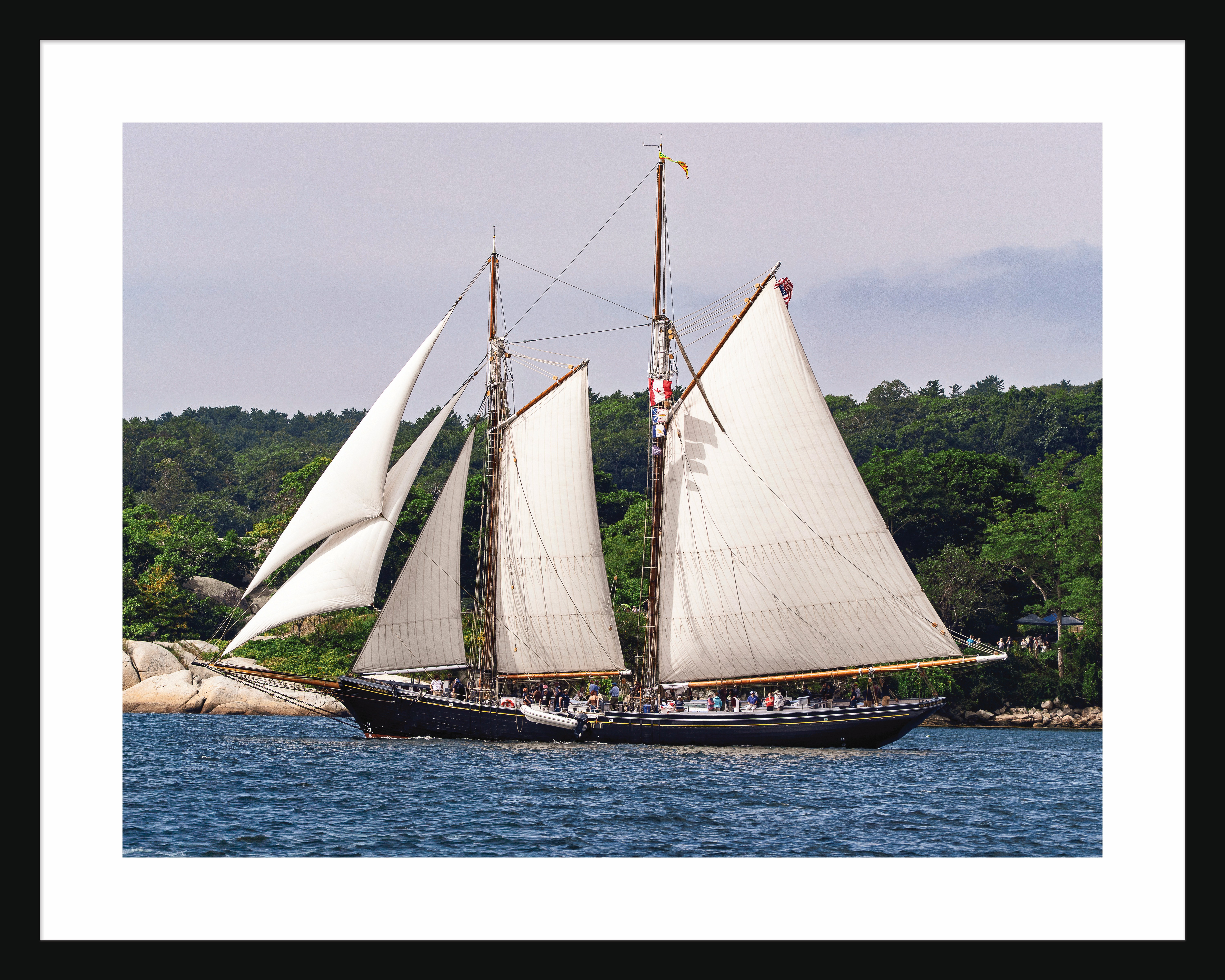Schooner Sailing in Gloucester Harbor