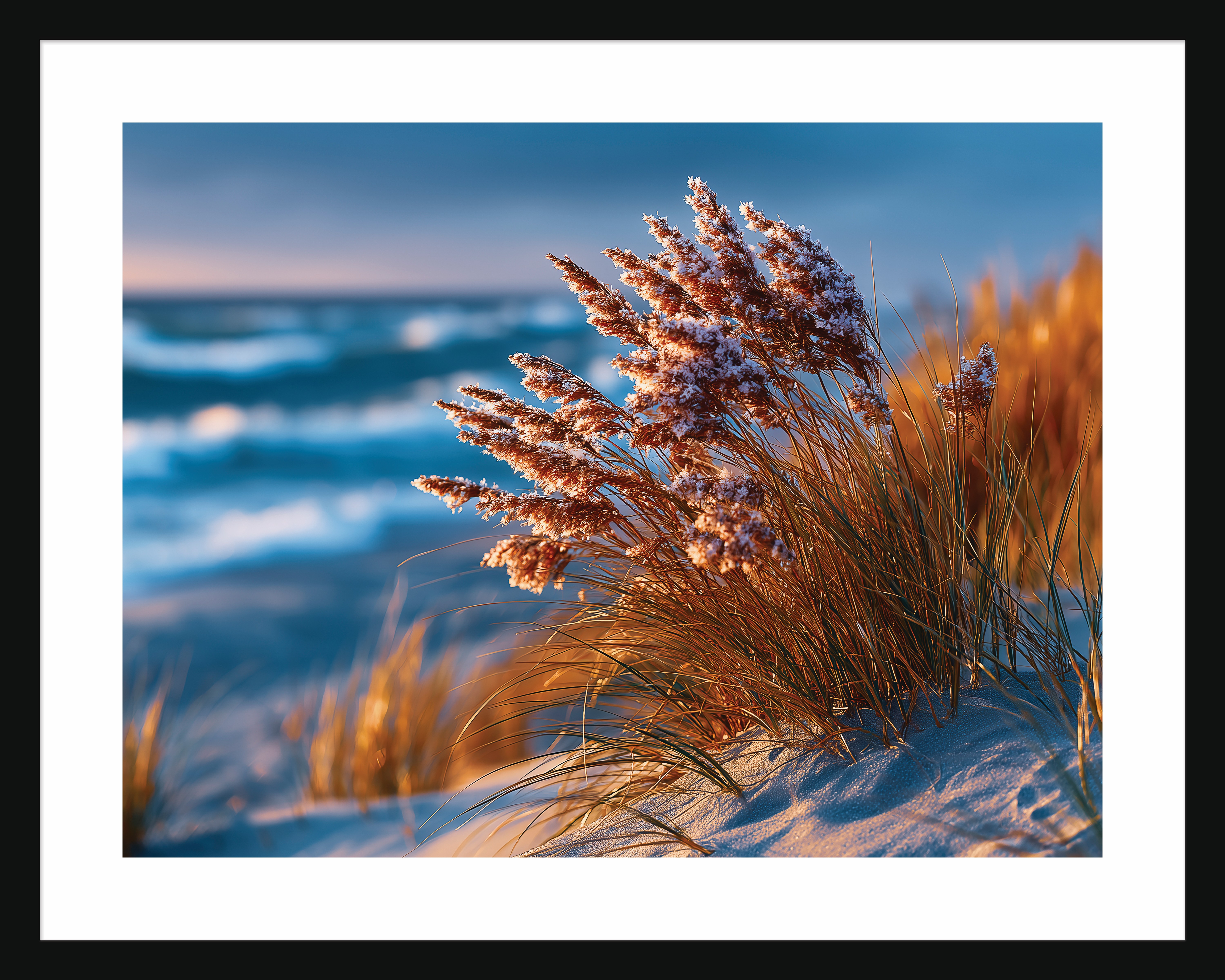 Cape Cod Coastal Dunes 
