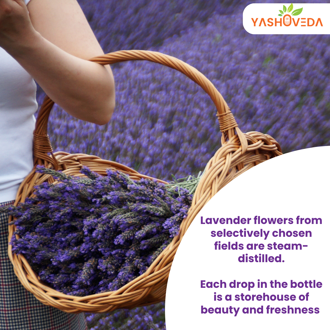 LAVENDER ESSENTIAL OIL