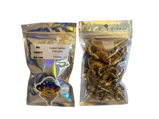 Golden Teacher Psilocybin Mushrooms