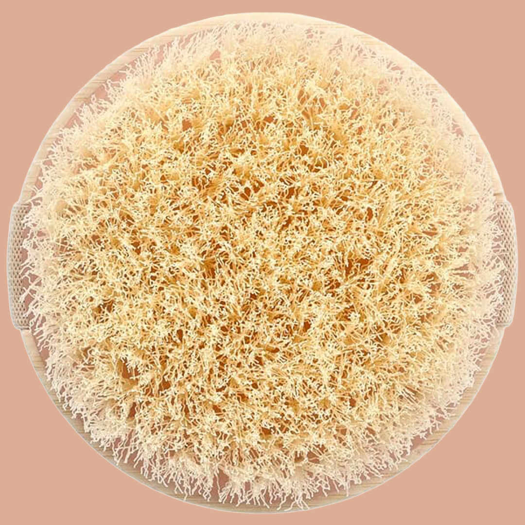 Dry Brush