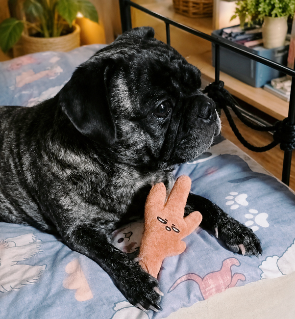 Chicken Foot Plush Toy