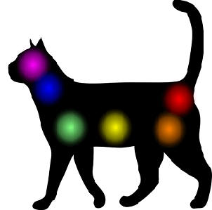 Terapia Energética para Animais Domésticos