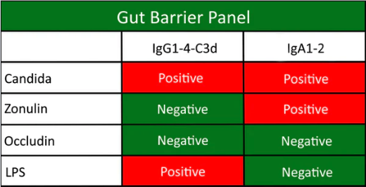 Leaky Gut Test