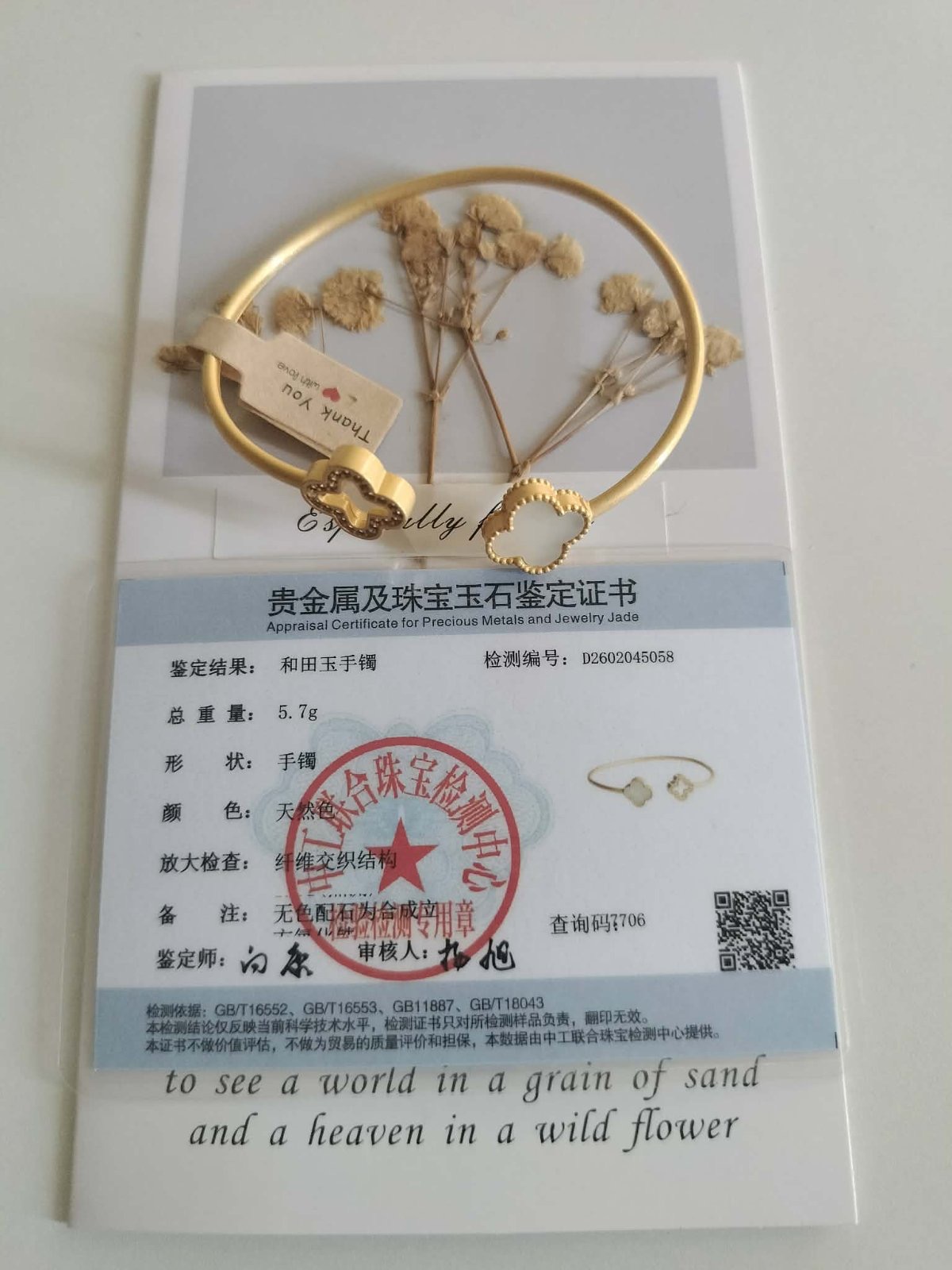 Hetian Jade Bangle with Cubic Zircon in Titanium