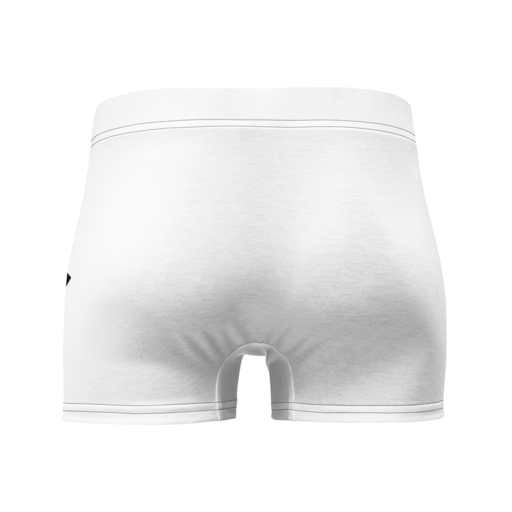 BARS BOXER BRIEFS