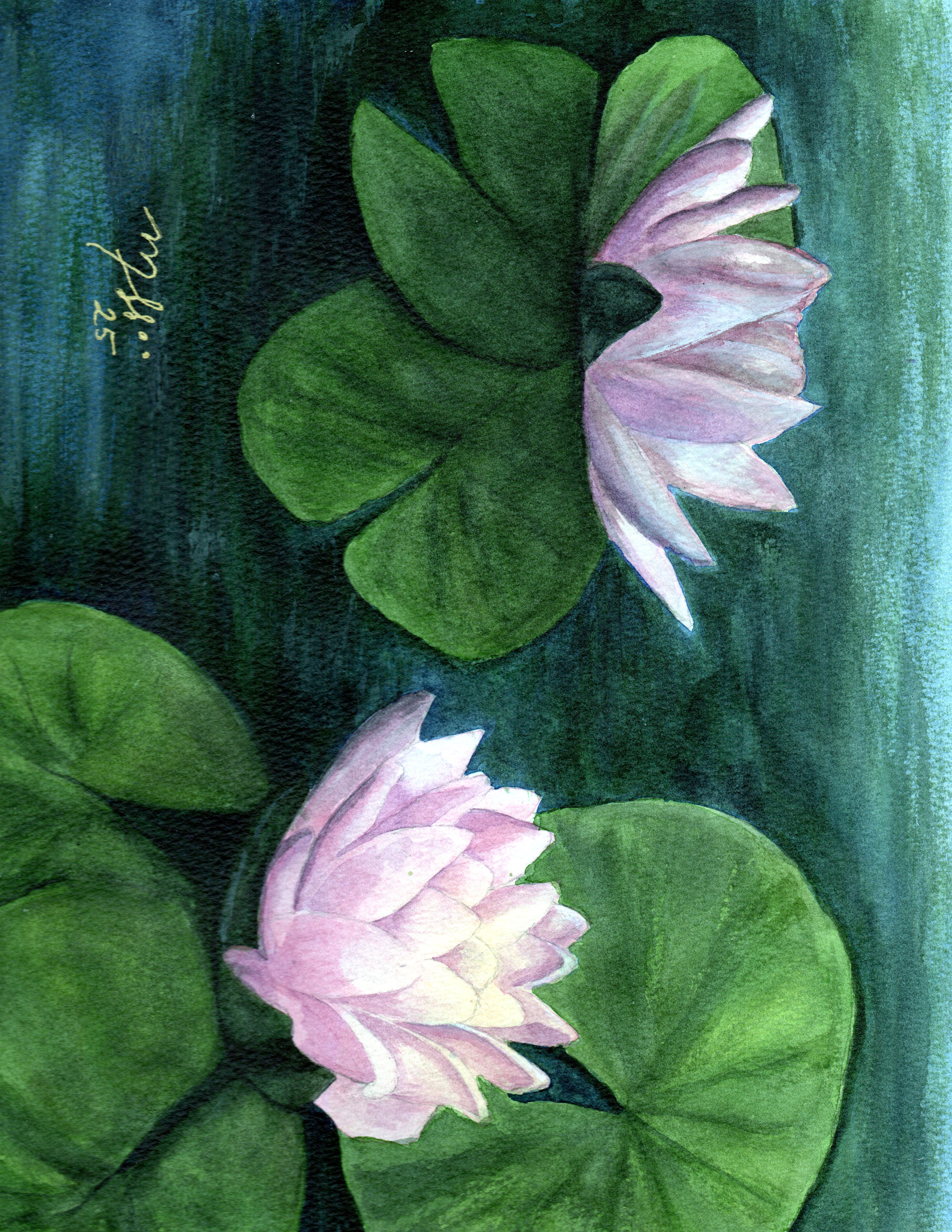 Inner Calm of the Water Lily