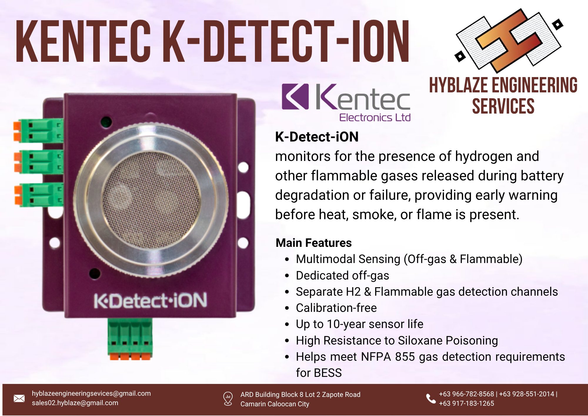 Gas Detection Service