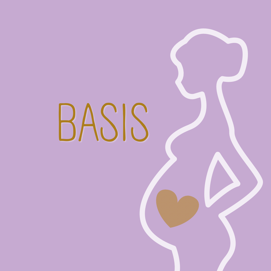 Pre-Mama Fitnesskurs BASIS