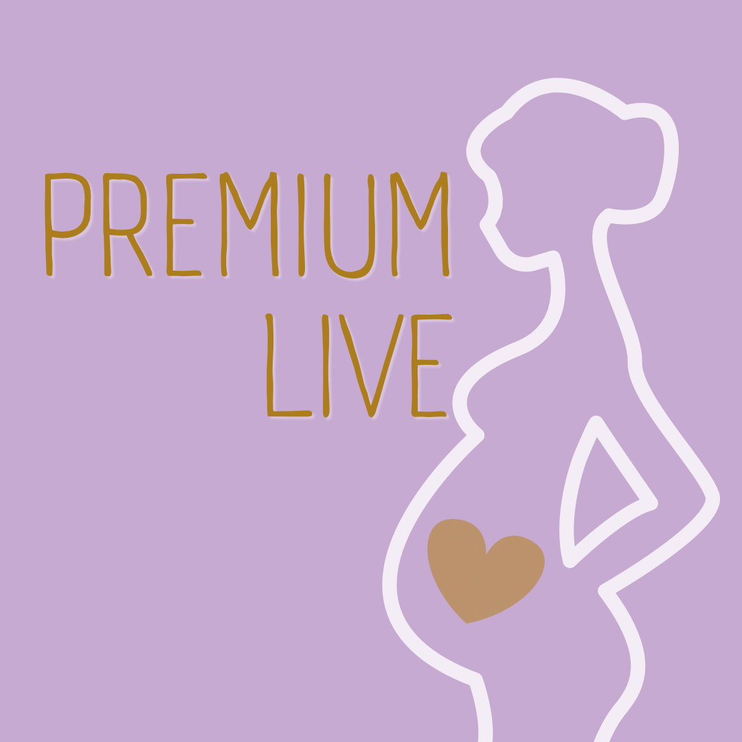 Pre-Mama Fitnesskurs PREMIUM LIVE