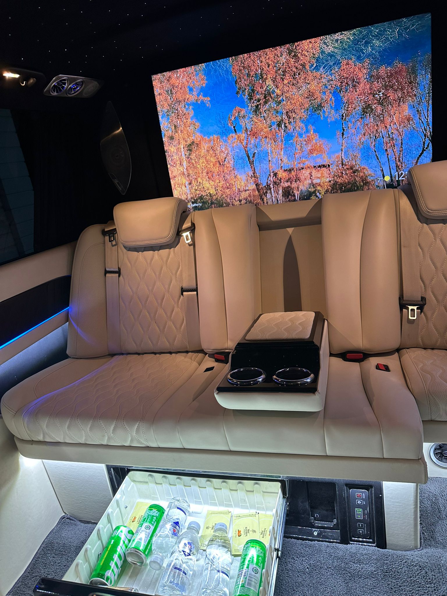 Mercedes V Class