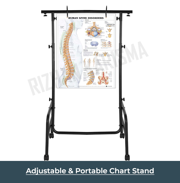 Adjustable Chart Stand