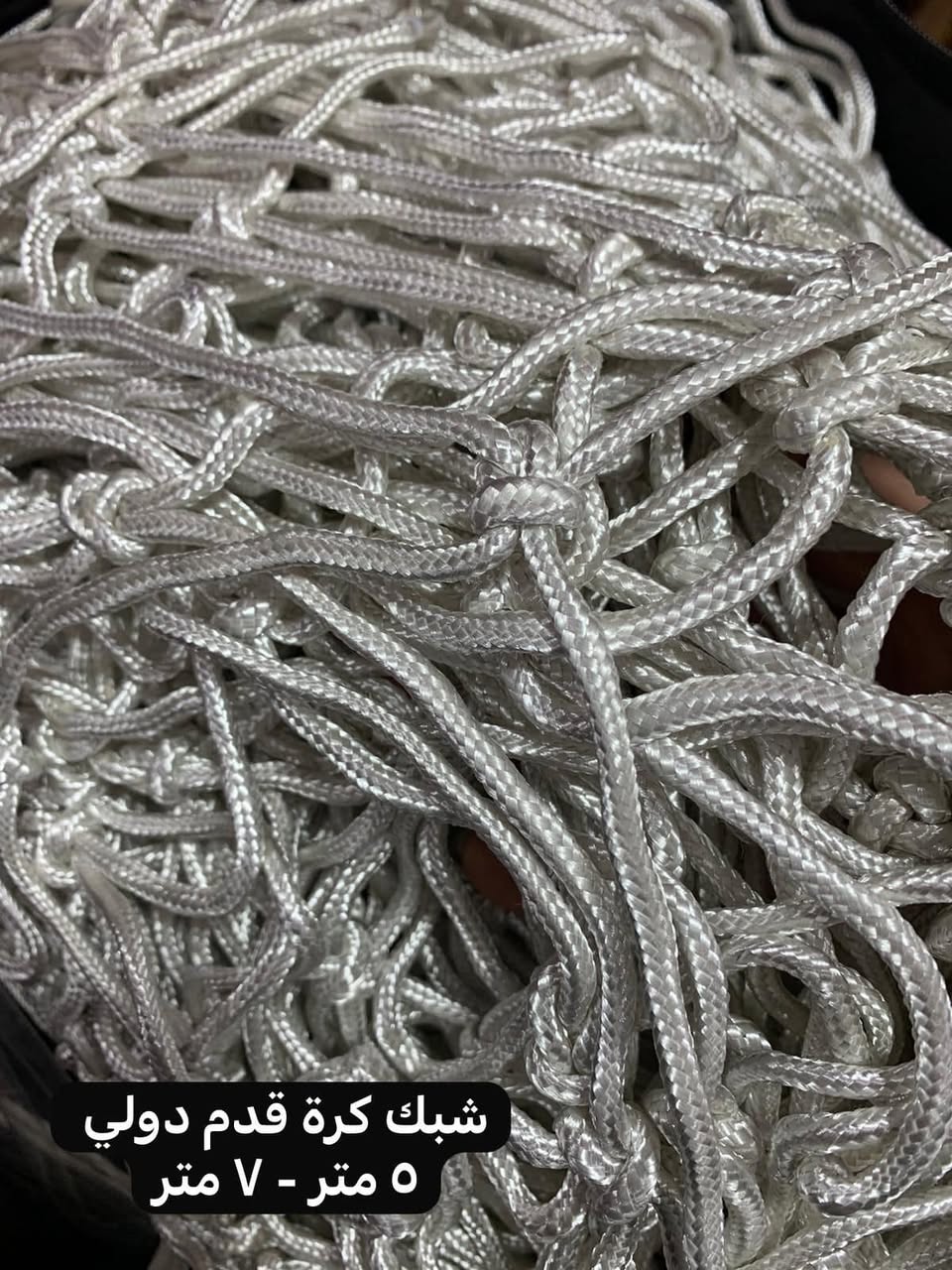 Professional Soccer Net (2 Nets)