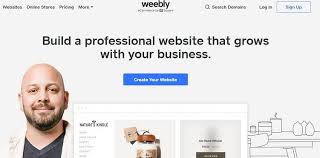 Premium Website Creation