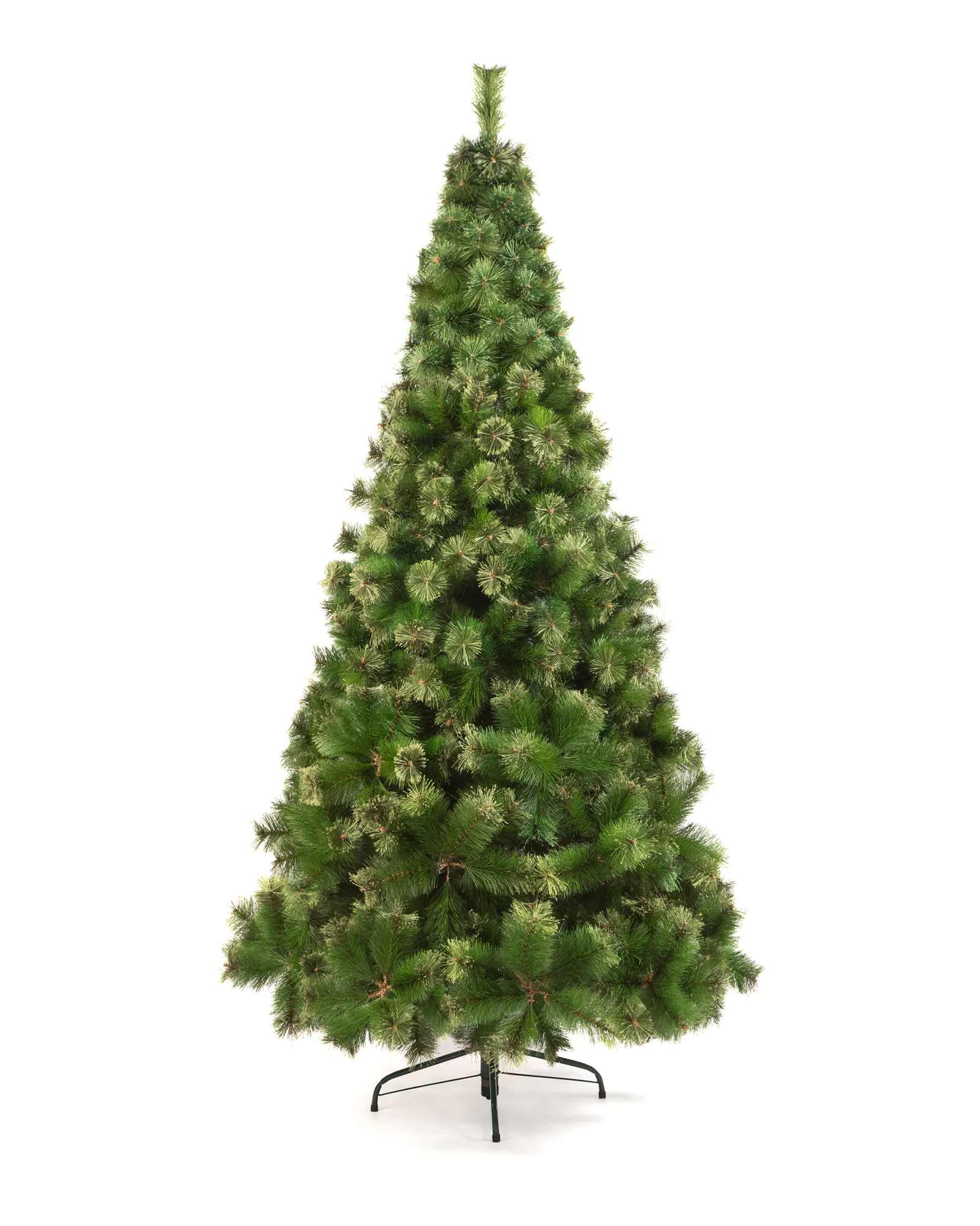 ARBOL SAUCE 2 MT