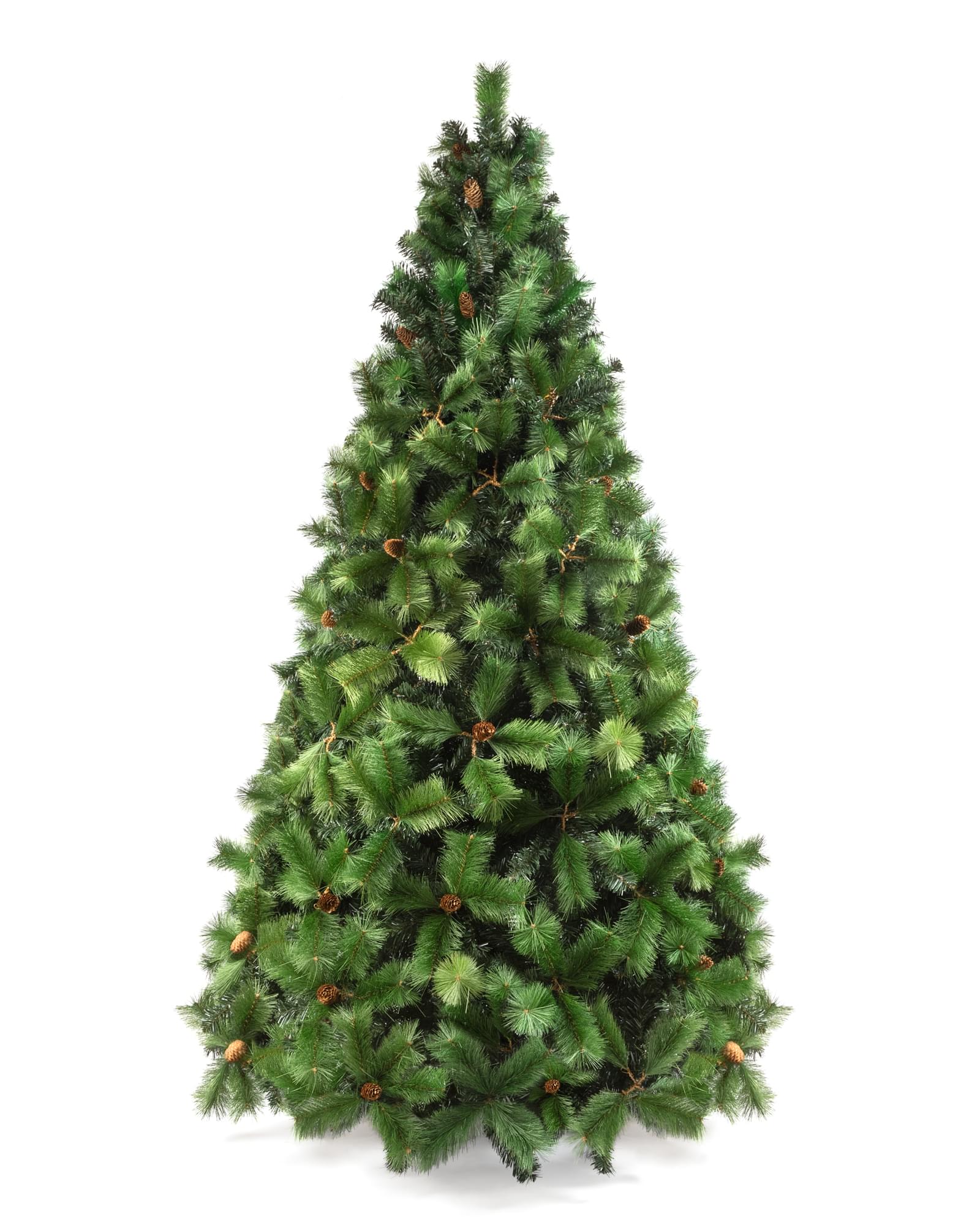 ARBOL MELBOURNE 2.00 MTS