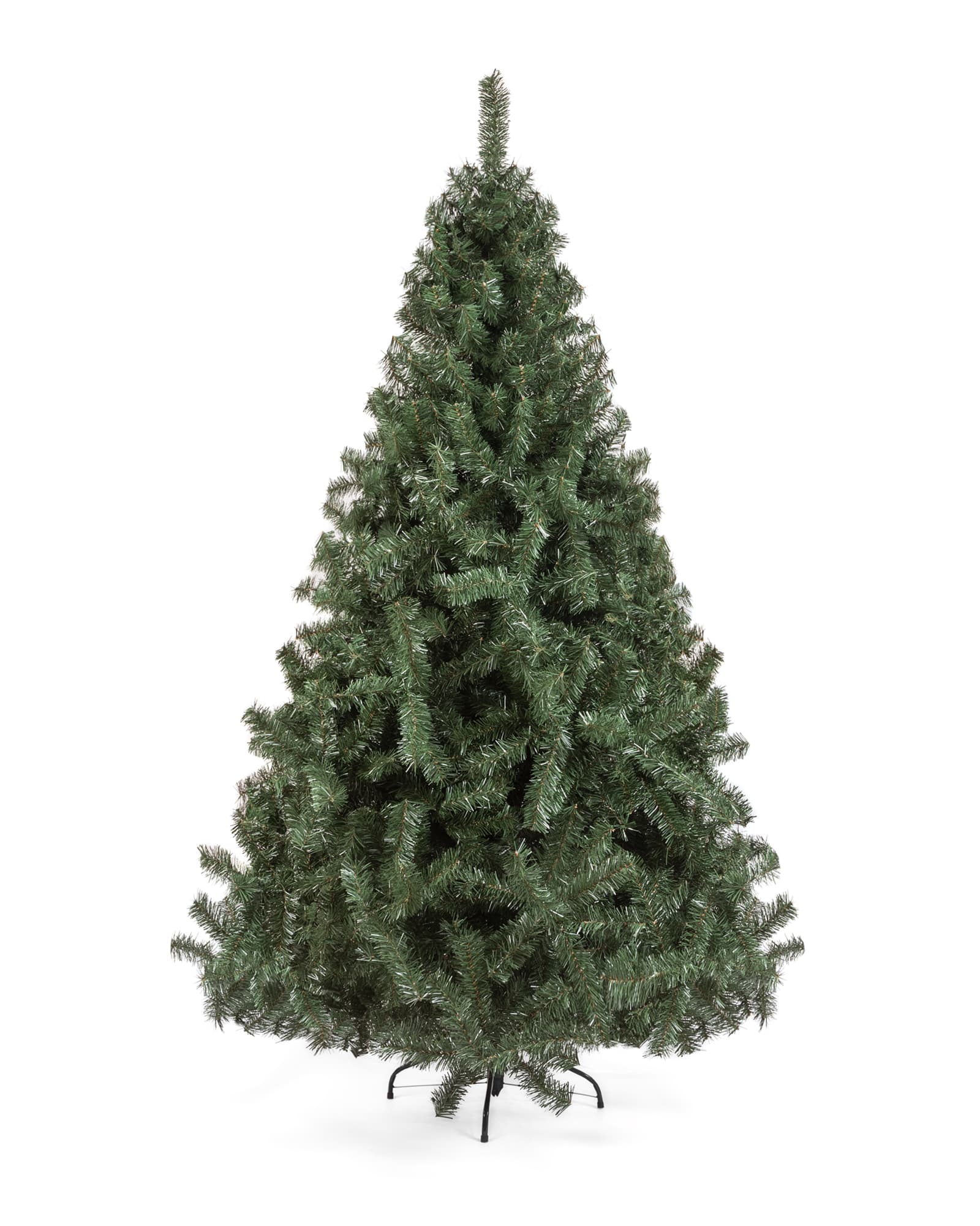 ARBOL HAMBURGO 2.60 MTS