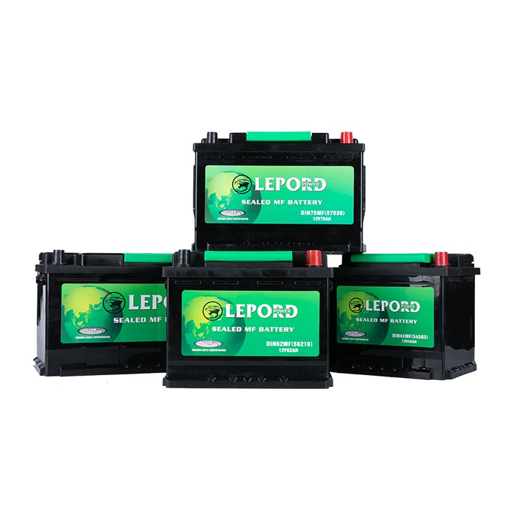 LEPORD Sealed MF Battery