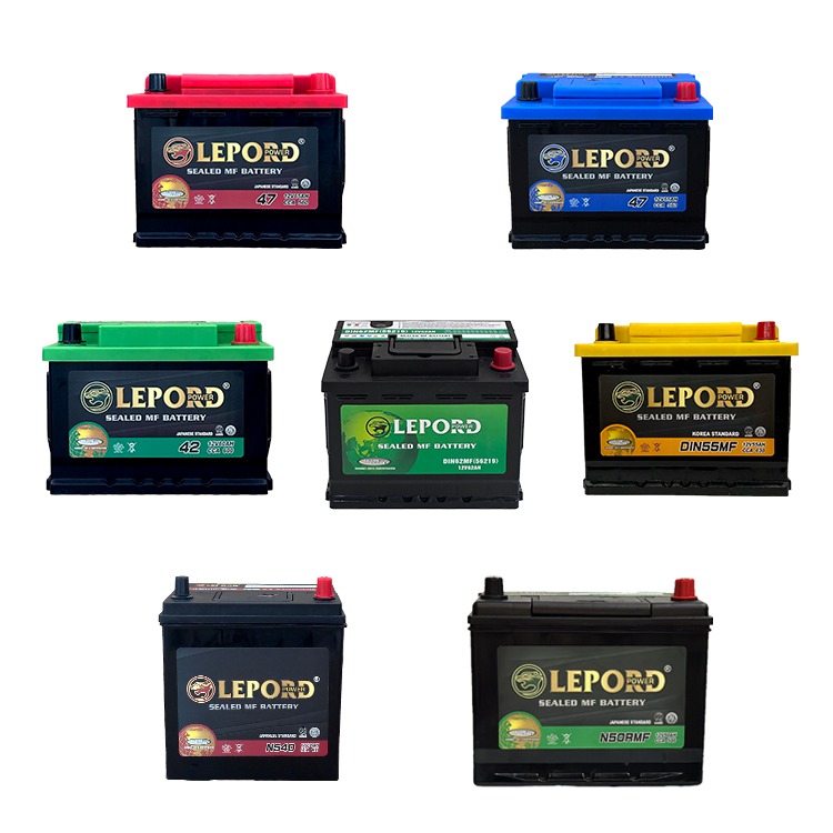 LEPORD Car Battery