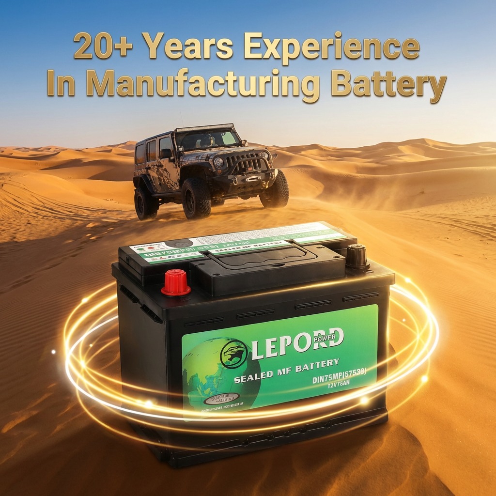 LEPOD Sealed MF Battery