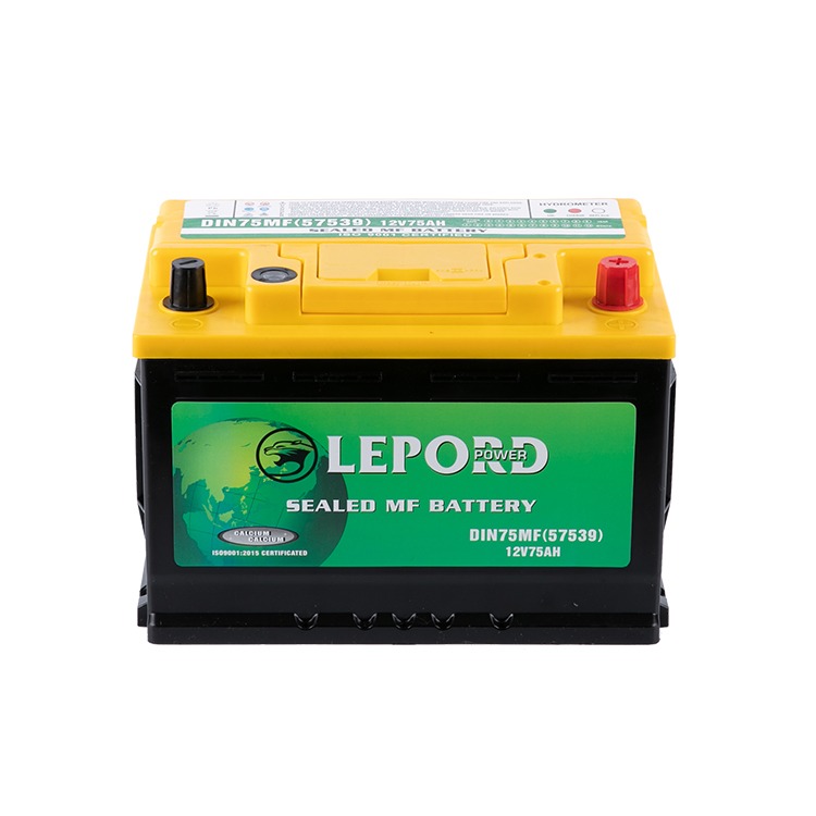 Lepow Power Sealed MF Battery