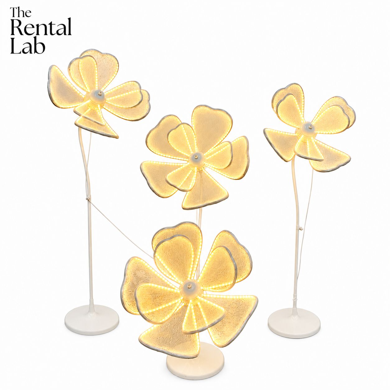 Peony Flower Petal Glowing Lamp