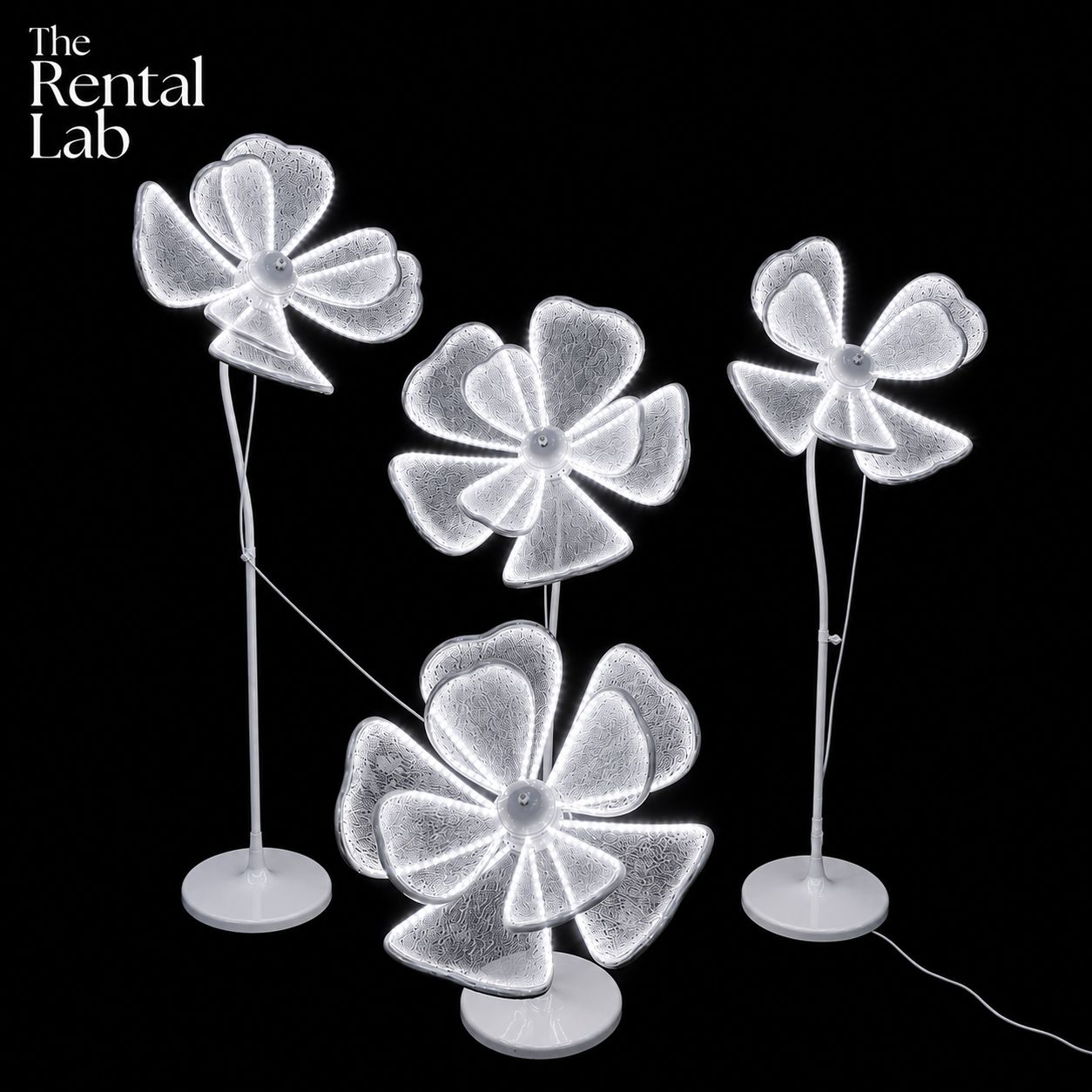 Peony Flower Petal Glowing Lamp